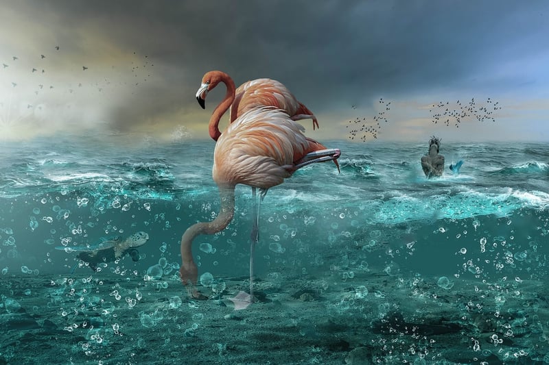 Mermaid in Water